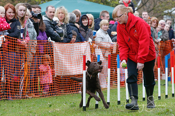 MottramShow2013-625_bluplanetphoto