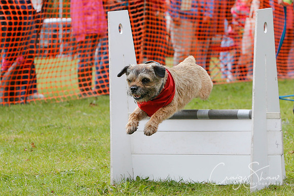 MottramShow2013-1565_bluplanetphoto