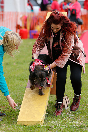 MottramShow2013-2539_bluplanetphoto