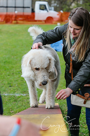 MottramShow2013-2491_bluplanetphoto