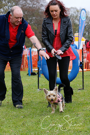 MottramShow2013-2525_bluplanetphoto
