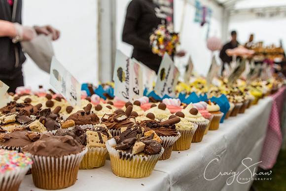 MottramShow2013-2582_bluplanetphoto