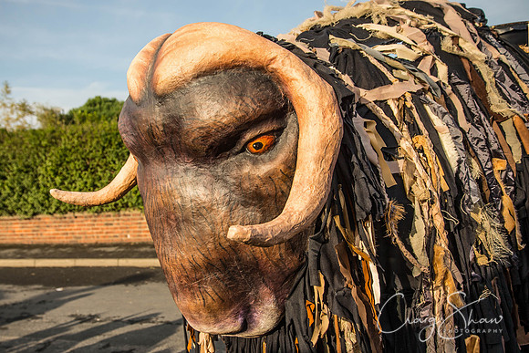 536_RossingtonHalloweenParade_bluplanetphoto