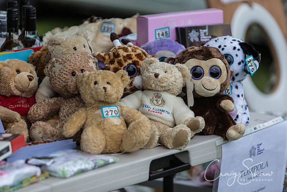 617_HuddsBarkinthePark2013_bluplanetphoto__D8Q5912