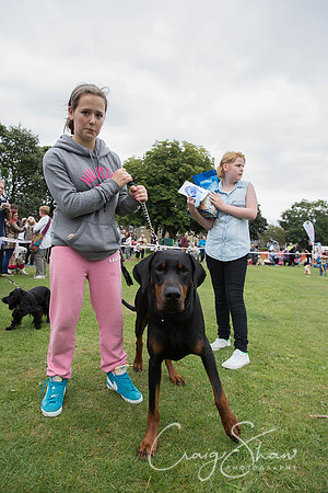 2540_HuddsBarkinthePark2013_bluplanetphoto__D8Q7328-Edit