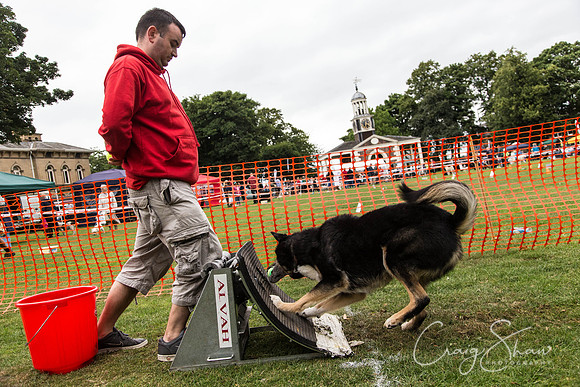 2883_HuddsBarkinthePark2013_bluplanetphoto__D8Q7625