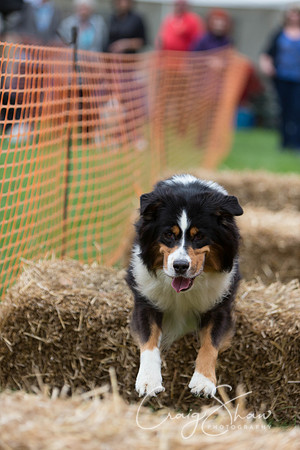 1024_HuddsBarkinthePark2013_bluplanetphoto_ED8Q6175-Edit-Edit