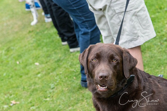 2695_HuddsBarkinthePark2013_bluplanetphoto__D8Q7442