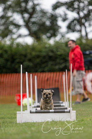 86_HuddsBarkinthePark2013_bluplanetphoto_ED8Q5452