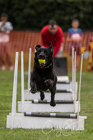 285_HuddsBarkinthePark2013_bluplanetphoto_ED8Q5650