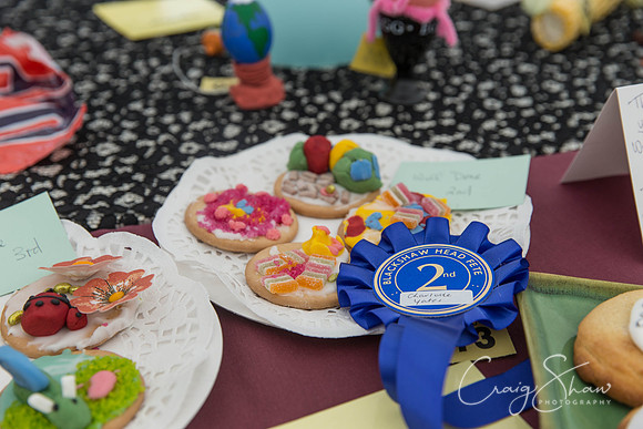 025_BlackshawFete2013_bluplanetphoto
