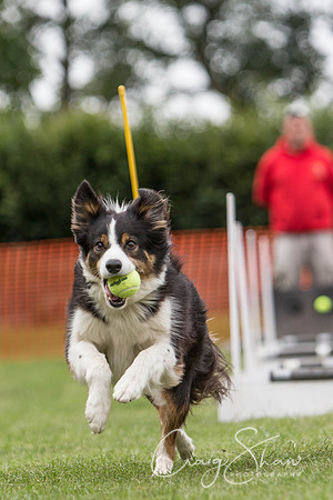 172_HuddsBarkinthePark2013_bluplanetphoto_ED8Q5537