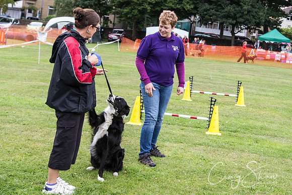 2715_HuddsBarkinthePark2013_bluplanetphoto__D8Q7457
