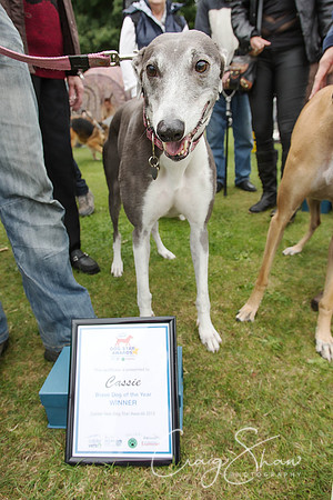 2068_HuddsBarkinthePark2013_bluplanetphoto__D8Q6988-Edit