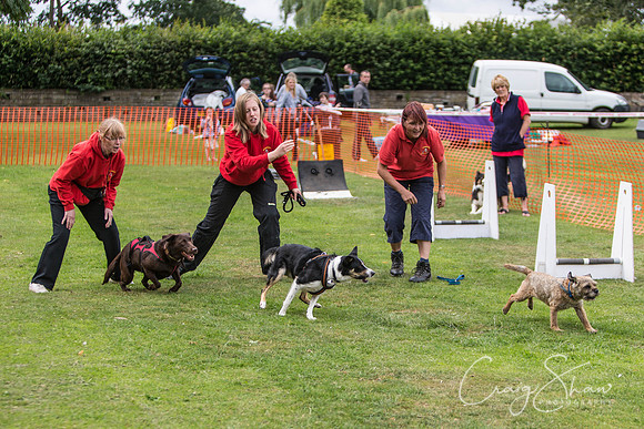 770_HuddsBarkinthePark2013_bluplanetphoto_ED8Q6011