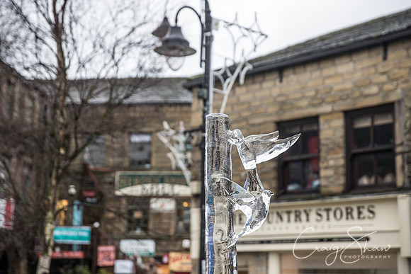 123_HebdenHummingbirdsIceCarve_Jan2016_craigshaw