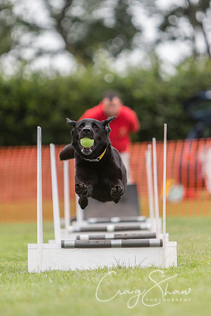 134_HuddsBarkinthePark2013_bluplanetphoto_ED8Q5499