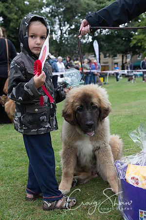 2270_HuddsBarkinthePark2013_bluplanetphoto__D8Q7120-Edit