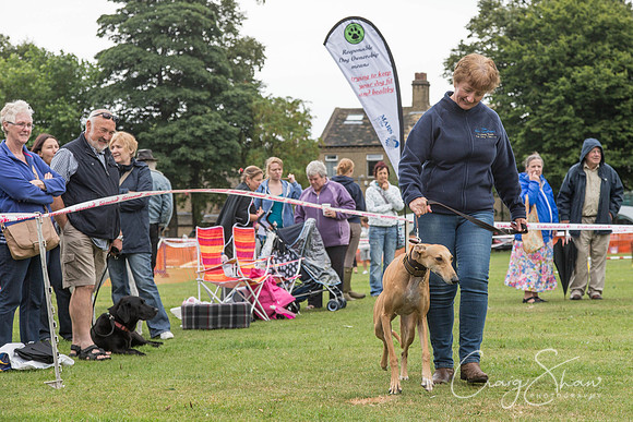 2046_HuddsBarkinthePark2013_bluplanetphoto__D8Q6966