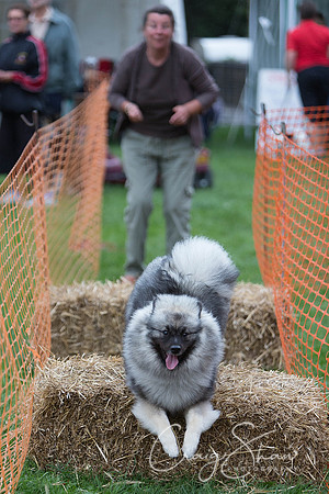 1485_HuddsBarkinthePark2013_bluplanetphoto_ED8Q6505-Edit