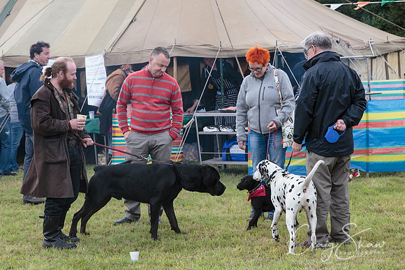 493_BlackshawFete2013_bluplanetphoto