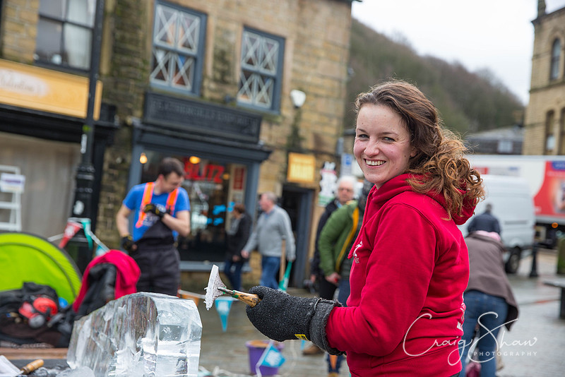 111_HebdenHummingbirdsIceCarve_Jan2016_craigshaw