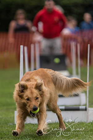 358_HuddsBarkinthePark2013_bluplanetphoto_ED8Q5723