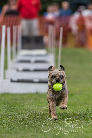 385_HuddsBarkinthePark2013_bluplanetphoto_ED8Q5750