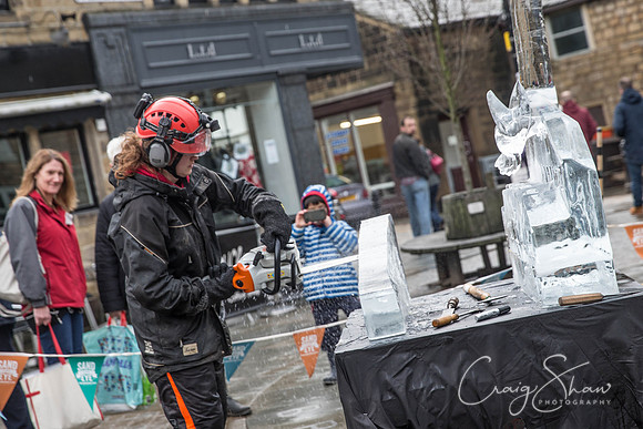 91_HebdenHummingbirdsIceCarve_Jan2016_craigshaw