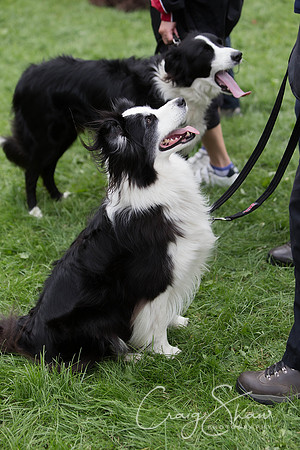 548_HuddsBarkinthePark2013_bluplanetphoto__D8Q5877-Edit