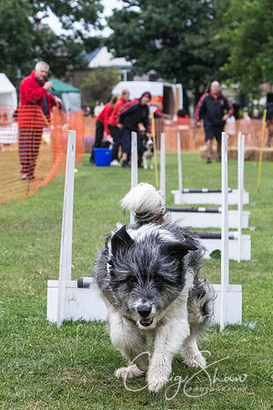 2768_HuddsBarkinthePark2013_bluplanetphoto__D8Q7510