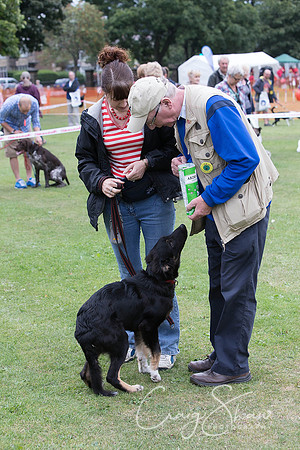 1175_HuddsBarkinthePark2013_bluplanetphoto__D8Q6283-Edit