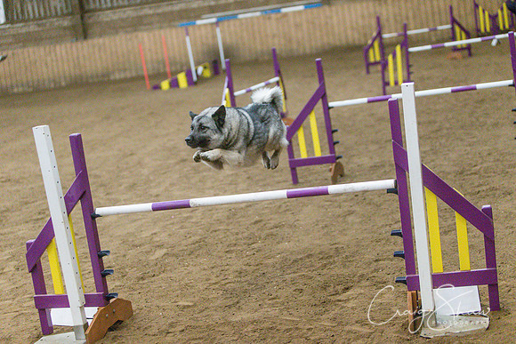 2946_SpringFling2014_bluplanetphoto