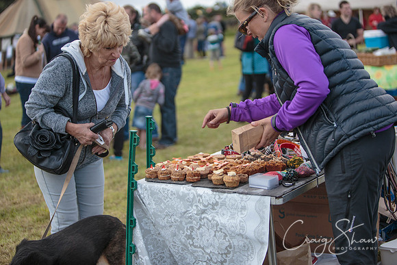 1577_BlackshawFete2013_bluplanetphoto