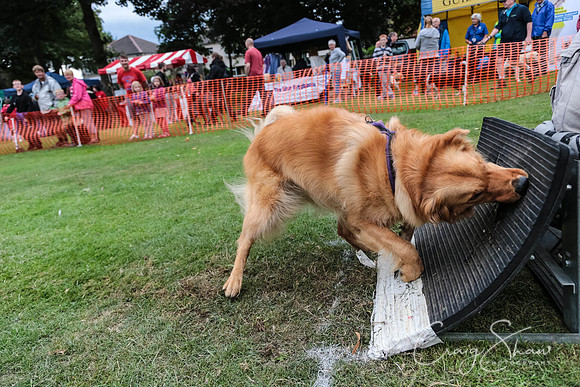 3042_HuddsBarkinthePark2013_bluplanetphoto_ED8Q7784