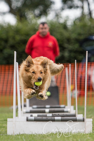 181_HuddsBarkinthePark2013_bluplanetphoto_ED8Q5546