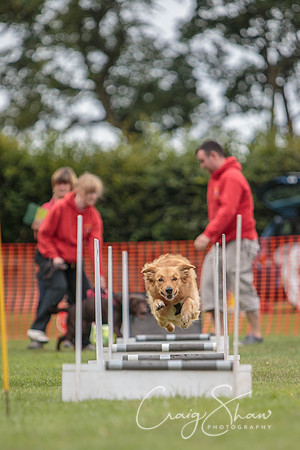53_HuddsBarkinthePark2013_bluplanetphoto_ED8Q5419
