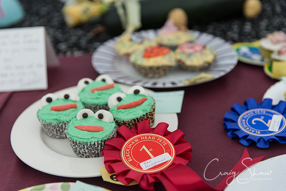 017_BlackshawFete2013_bluplanetphoto