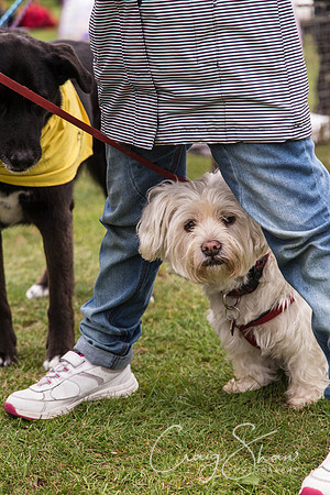 2617_HuddsBarkinthePark2013_bluplanetphoto__D8Q7366