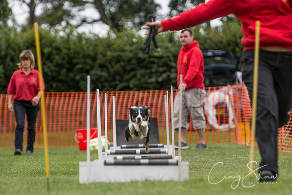 62_HuddsBarkinthePark2013_bluplanetphoto_ED8Q5428