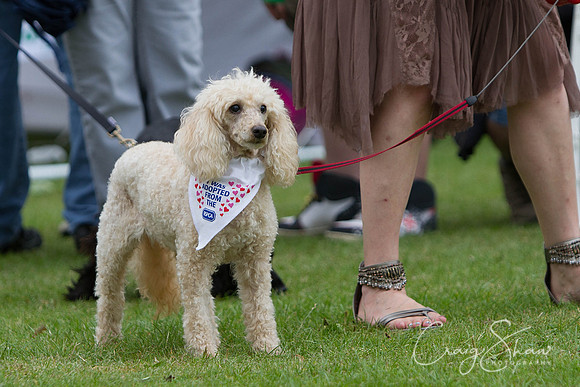 2313_HuddsBarkinthePark2013_bluplanetphoto_IMG_1091-Edit