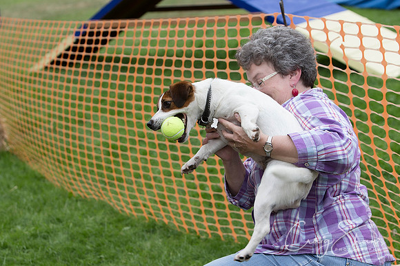 898_HuddsBarkinthePark2013_bluplanetphoto__D8Q6085-Edit