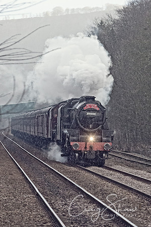 _D8Q3691-Edit