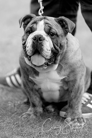 614_HuddsBarkinthePark2013_bluplanetphoto__D8Q5909-Edit