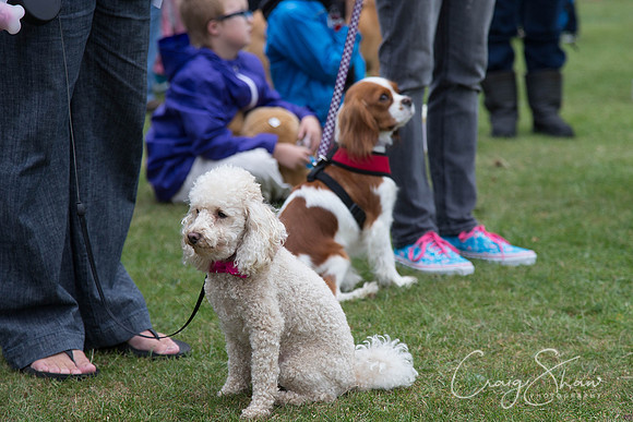 2547_HuddsBarkinthePark2013_bluplanetphoto__D8Q7335-Edit