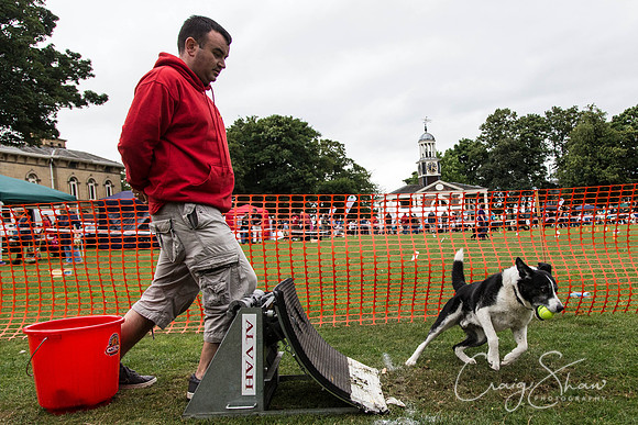 2865_HuddsBarkinthePark2013_bluplanetphoto__D8Q7607
