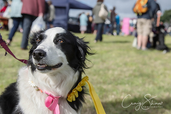 1546_BlackshawFete2013_bluplanetphoto-Edit