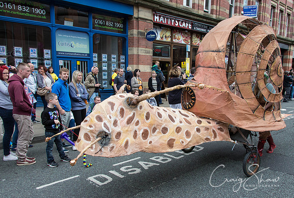 2198ManchesterDayParade2013_bluplanetphoto