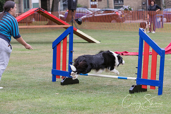 1134_HuddsBarkinthePark2013_bluplanetphoto__D8Q6249-Edit