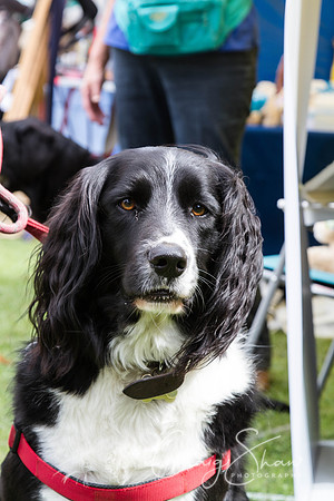 829_HuddsBarkinthePark2013_bluplanetphoto_IMG_0706-Edit